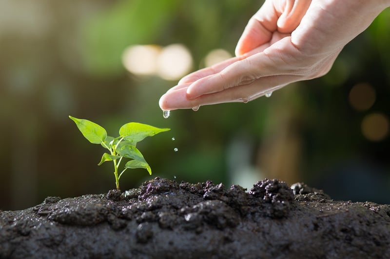 Gardening Forum