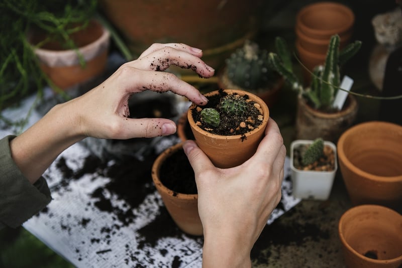 Vertical Planter